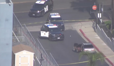 San Diego police shoot person suspected of driving stolen car in San Ysidro – NBC 7 San Diego