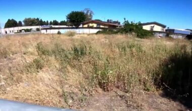 Santa Clara County cracks down on properties with overgrown vegetation – NBC Bay Area