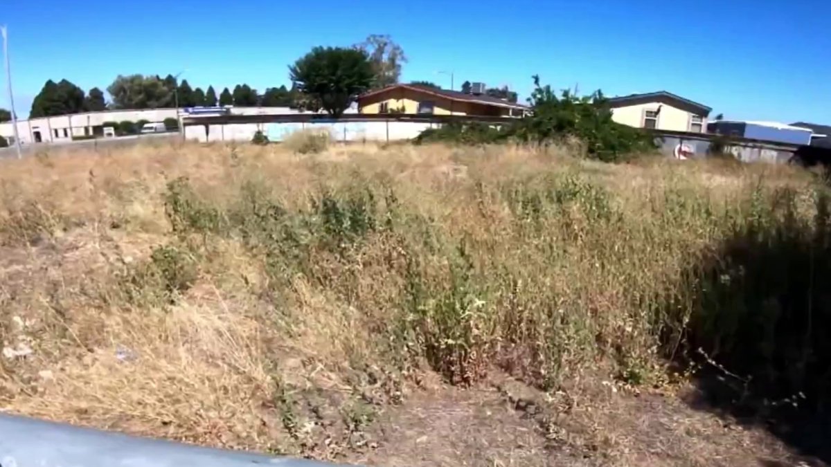 Santa Clara County cracks down on properties with overgrown vegetation – NBC Bay Area