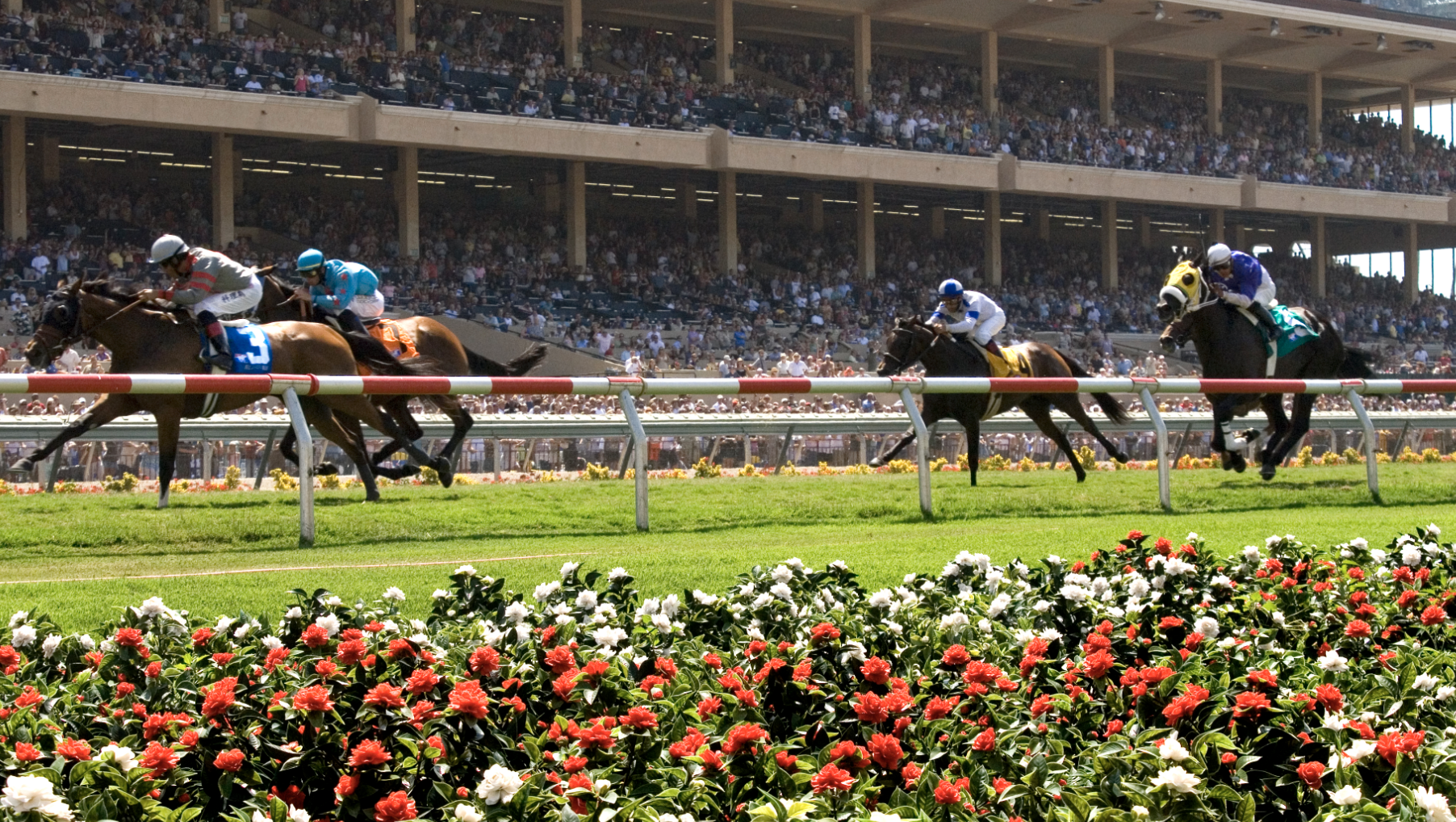 San Diego Weekend Guide: July 17-19 -- Off to the races!