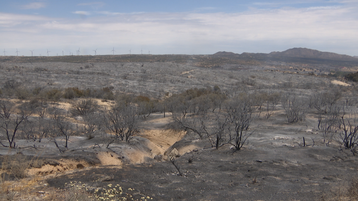 Thorn Fire highlights evacuation challenges for residents near Boulevard – NBC 7 San Diego