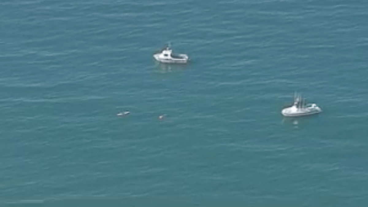 Police chase ends with suspect swimming off Malibu coast – NBC Los Angeles