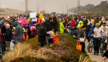 Sunset Dunes-Killing Ballot Measure Qualifies for Nov. Ballot