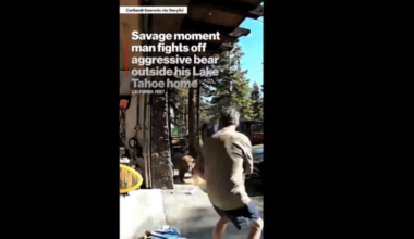 Lake Tahoe man uses bear spray to deter rushing bear