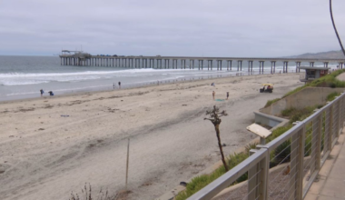 Body found near Scripps Pier in La Jolla identified – NBC 7 San Diego