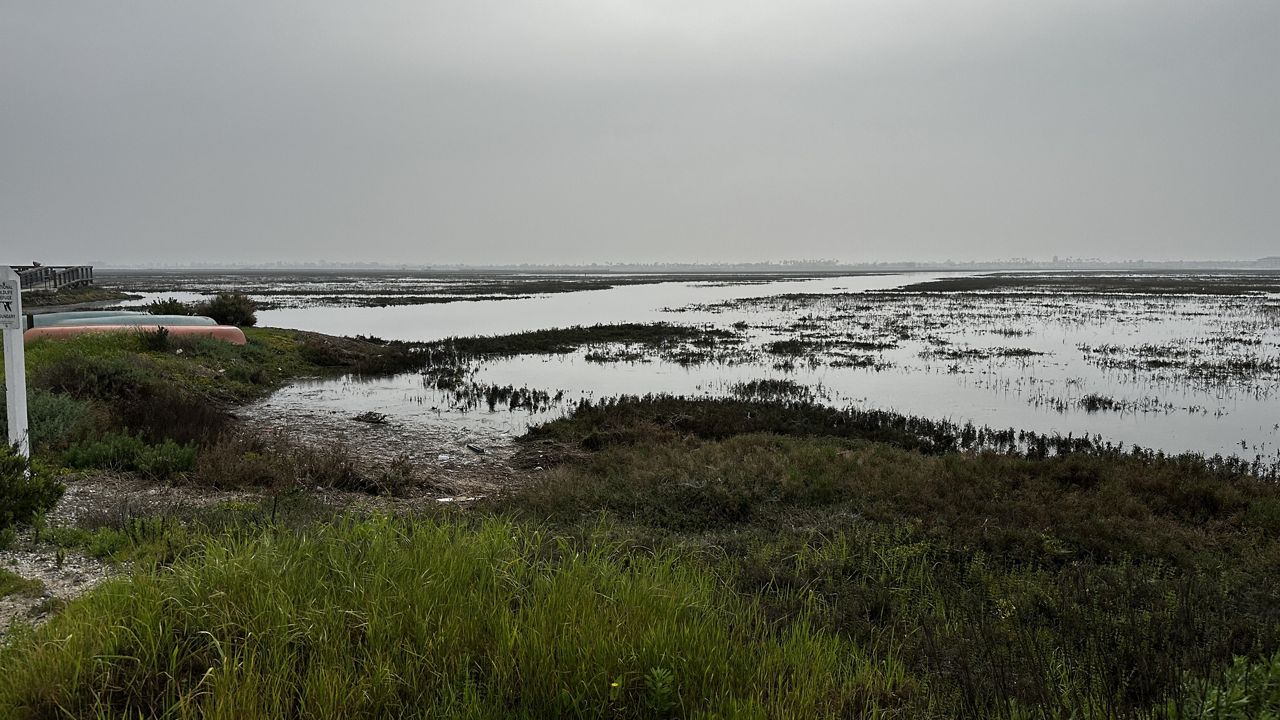 Adding soil has helped restoration efforts of wetlands in OC