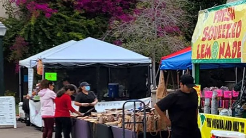 Street vendors out in force again in San Diego after ruling in court battle