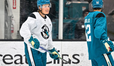 Stenberg Shares True Height & Weight, Why He Likes Smaller Ice
