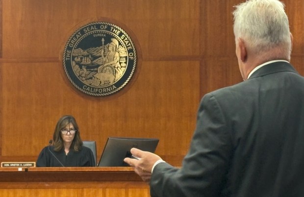 Judge Kristen Lucena listens Friday as prosecutor Marc Noel presents his closing arguments in the Park Fire arson trial of Ronnie Dean Stout II. Lucena later found Stout guilty. (Steve Schoonover  Contributed)