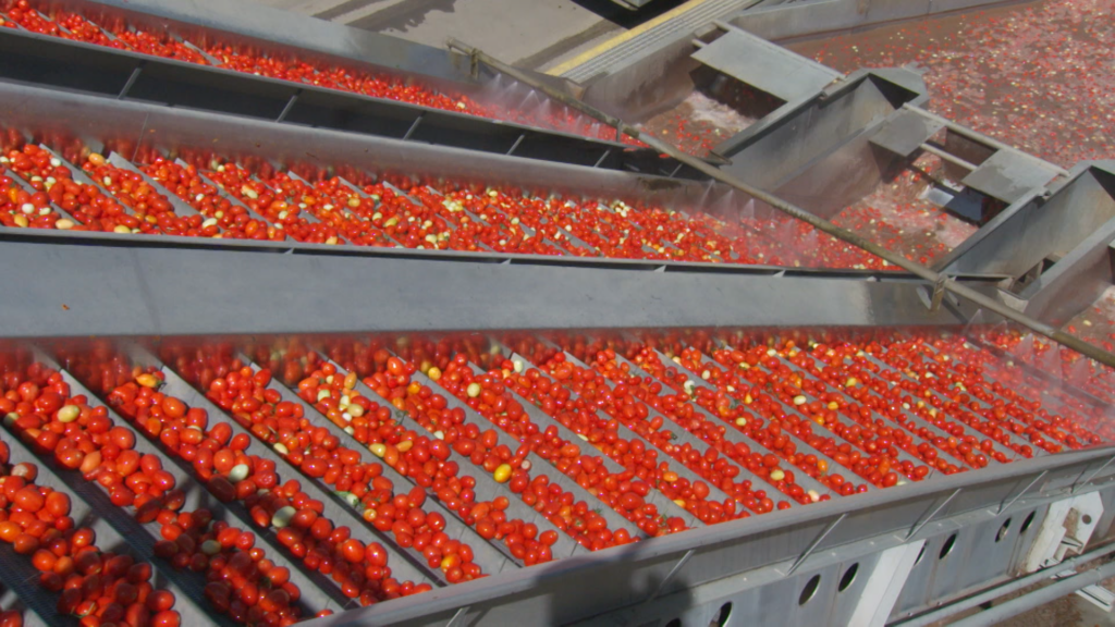 Processing facility