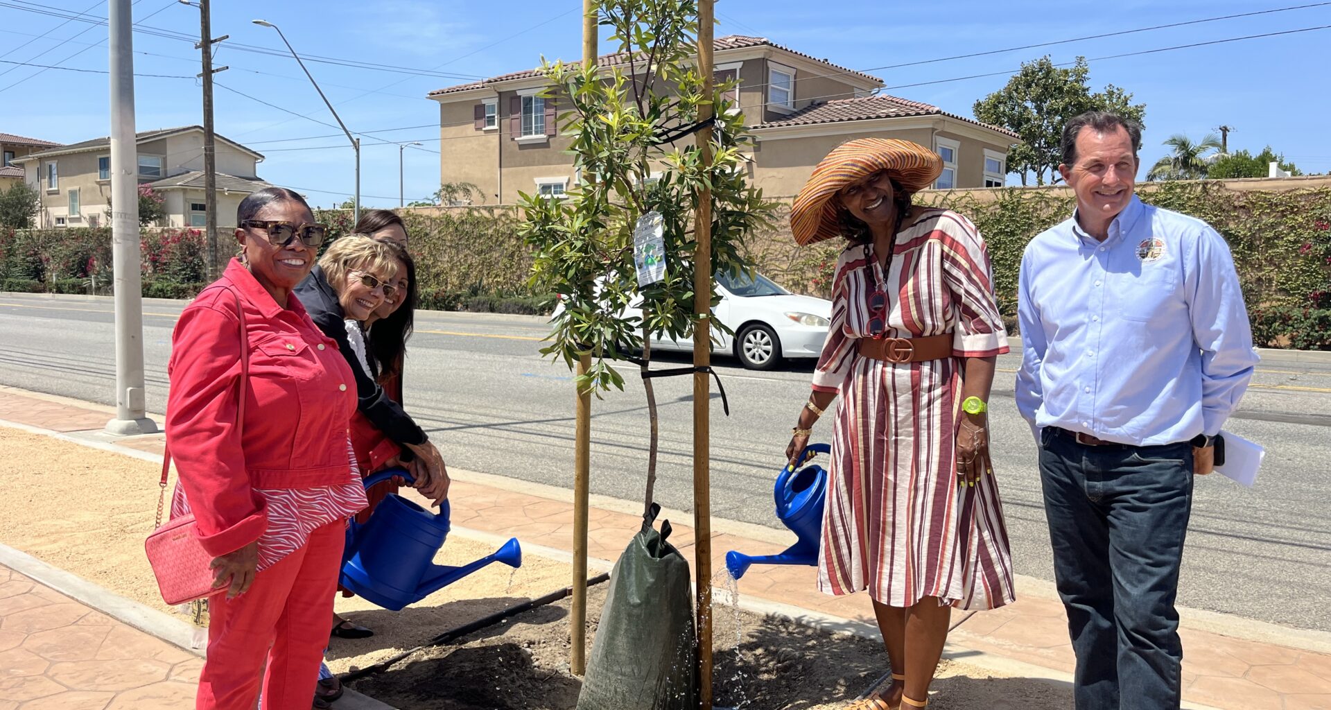 Improvements made to Normandie Avenue median in West Carson – Daily Breeze