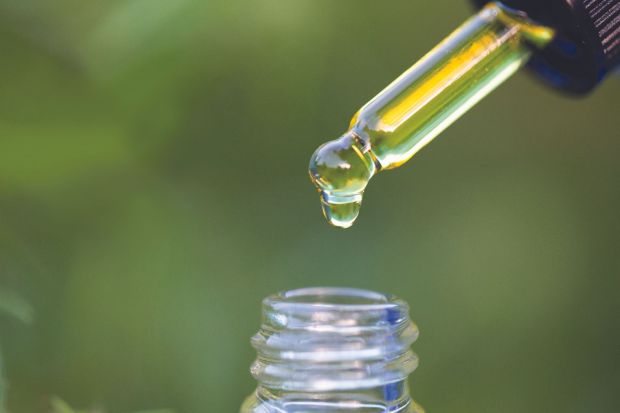 Research on cannabis and sleep remains somewhat inconclusive, but some components of the cannabis plant appear to be helpful for some people's sleep. Cannabidiol (CBD), which does not cause the "high" typically associated with marijuana, and tetrahydrocannabinol (THC), which does have those mood- and mind-altering effects, are two being looked at. Products that consist primarily of CBD, along with low doses of THC, may help some people fall asleep faster and stay asleep longer. (Photo courtesy of Metro Editorial Services)