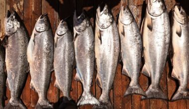 Salmon fishing resumes off California coast for first time since 2022. Here’s what that means – East Bay Times
