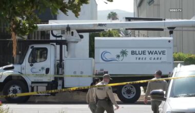 Suspect who allegedly tried to steal tree-trimming truck in San Marcos dies – NBC 7 San Diego