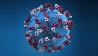 Measles cases in California double 2025 totals