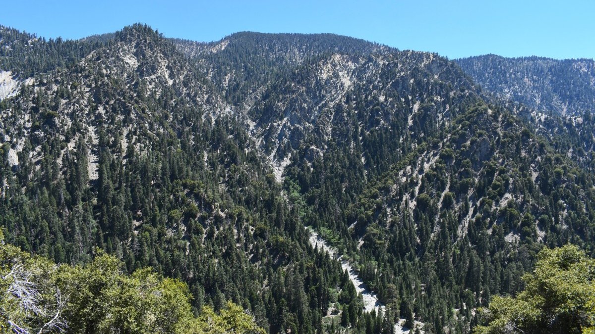 Mother and daughter reported missing in San Gorgonio Wilderness – NBC Los Angeles