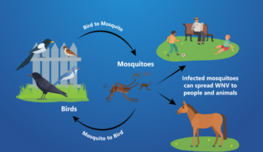 First West Nile human cases confirmed in four counties in the Valley