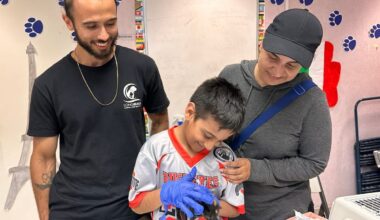 Heroes needed to save underage kittens