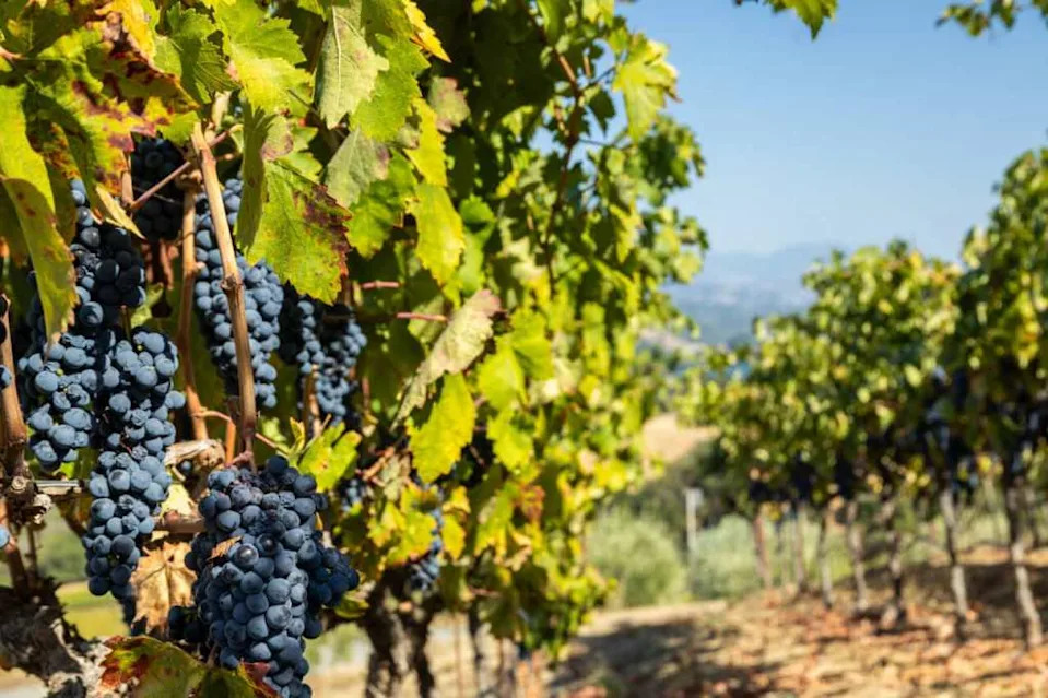 Santa Barbara County’s newest mandate is troubling. California Outdoor Properties