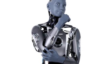 Why Is a San Diego Charter School Spending $500,000 on Two Humanoid Robots?