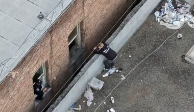 Suspect In San Francisco Kitten Killing Fails to Show Up For Court Date, Warrant Issued