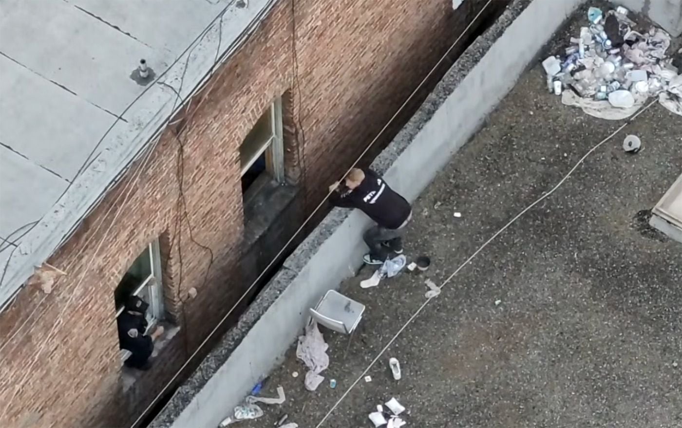 Suspect In San Francisco Kitten Killing Fails to Show Up For Court Date, Warrant Issued