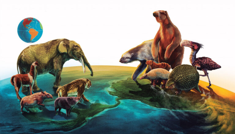 two groups of animals standing on miniature representations of North and South America