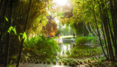 Two Rare Corpse Flowers Are About to Bloom in Los Angeles