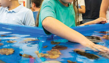Curiosity abounds as acclaimed Shark Lab holds open house