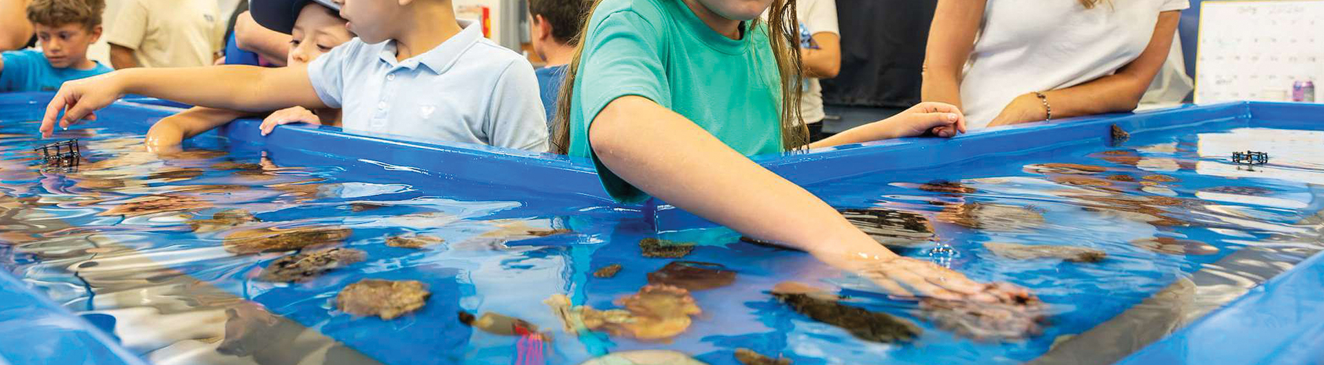 Curiosity abounds as acclaimed Shark Lab holds open house