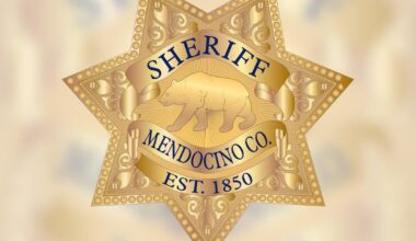 Arrests made in murder at illegal Northern California cannabis grow, deputies say