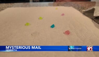 News10NBC Investigates: Greece woman receives mysterious package of plastic pebbles from California warehouse