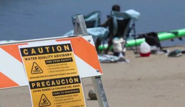 E. coli levels improve in Lake Natoma but rise in Folsom Lake