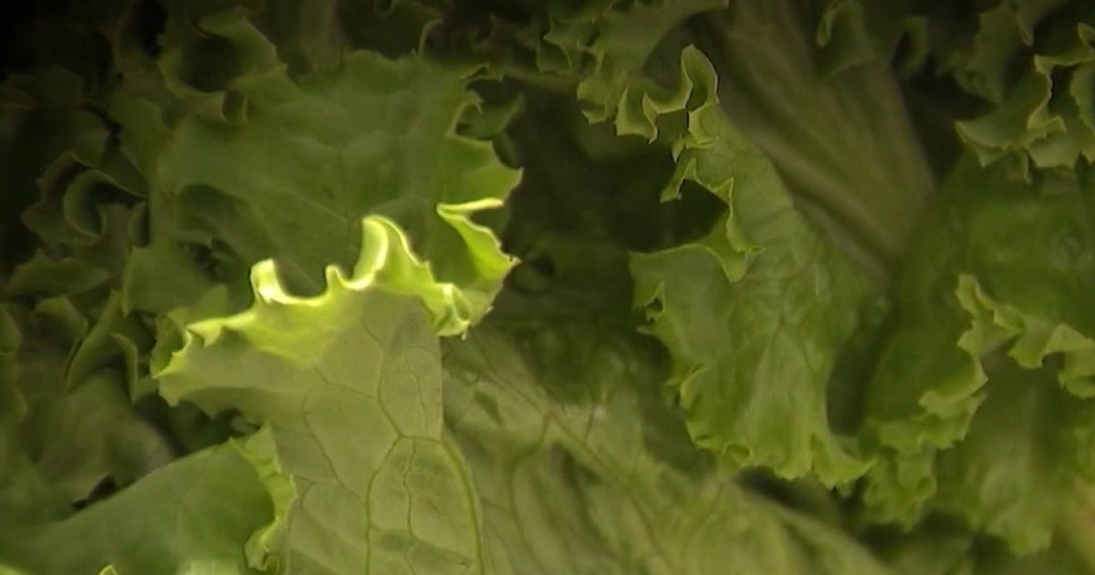 California's Taylor Farms under federal investigation in nationwide cyclospora outbreak