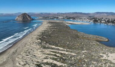 California’s Vanishing Sand Dunes Threaten Its Coast
