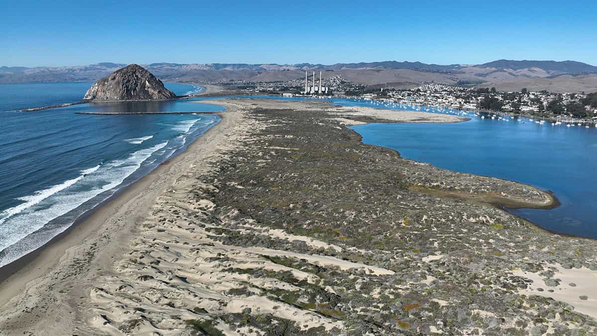 California’s Vanishing Sand Dunes Threaten Its Coast