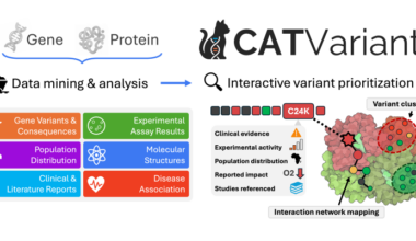 CATVariant graphical abstract