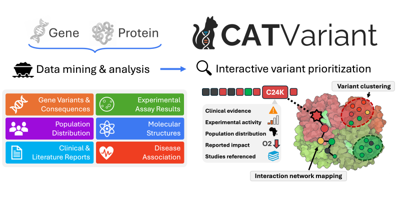 CATVariant graphical abstract