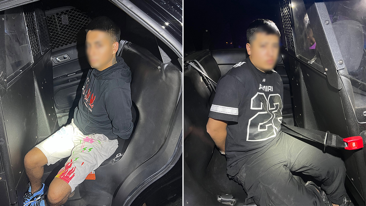 California arrests