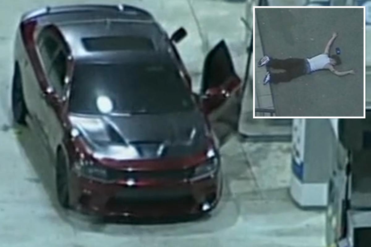 Driver pulls most audacious act imaginable halfway through 130-mph police chase in California