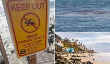Stunning California beach reopens after disgusting 2,000-gallon spill wrecked Fourth of July plans