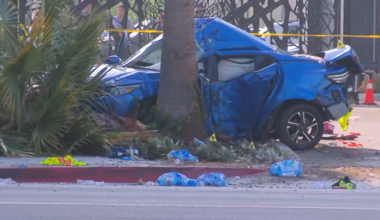 Driver killed in crash into palm tree at end of Pomona chase – NBC Los Angeles