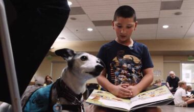 Sacramento library program helps kids improve reading skills with dogs