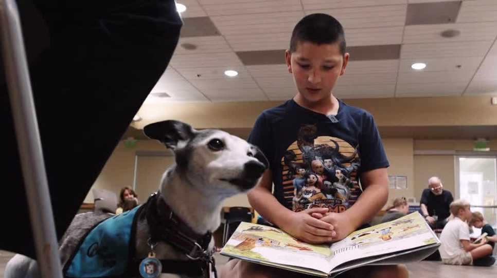 Sacramento library program helps kids improve reading skills with dogs