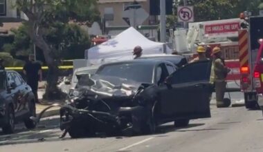 2 dead, child critically injured in Hyde Park high-speed crash