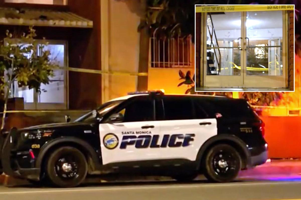 Woman killed in communal bathroom in Santa Monica as harrowing details emerge