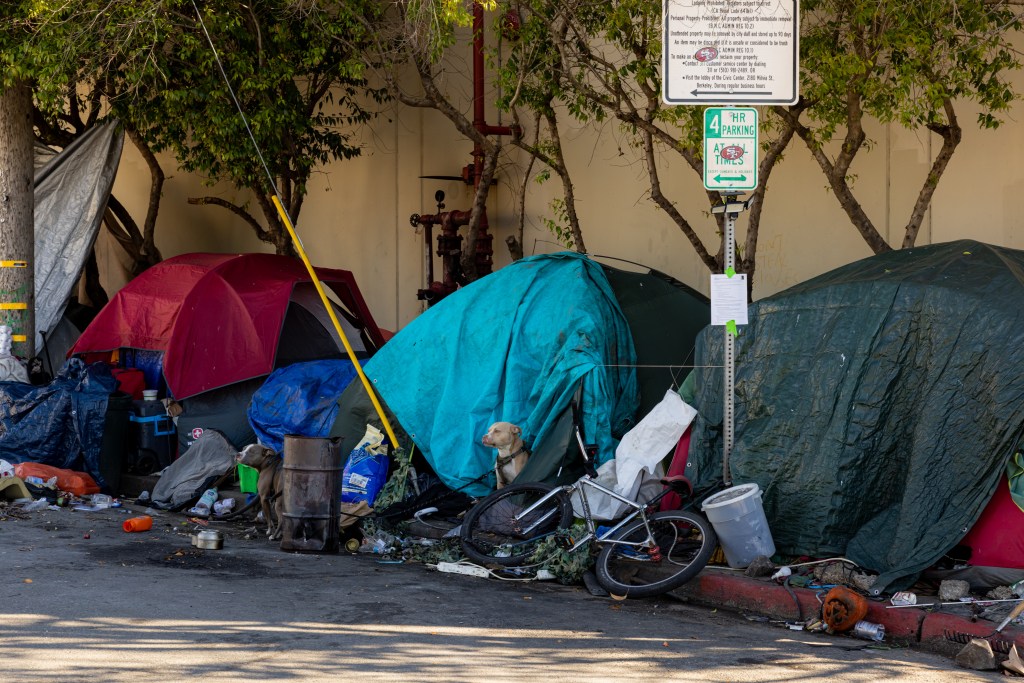 A dog sits outside a teal tent in a Berkeley homeless encampment.