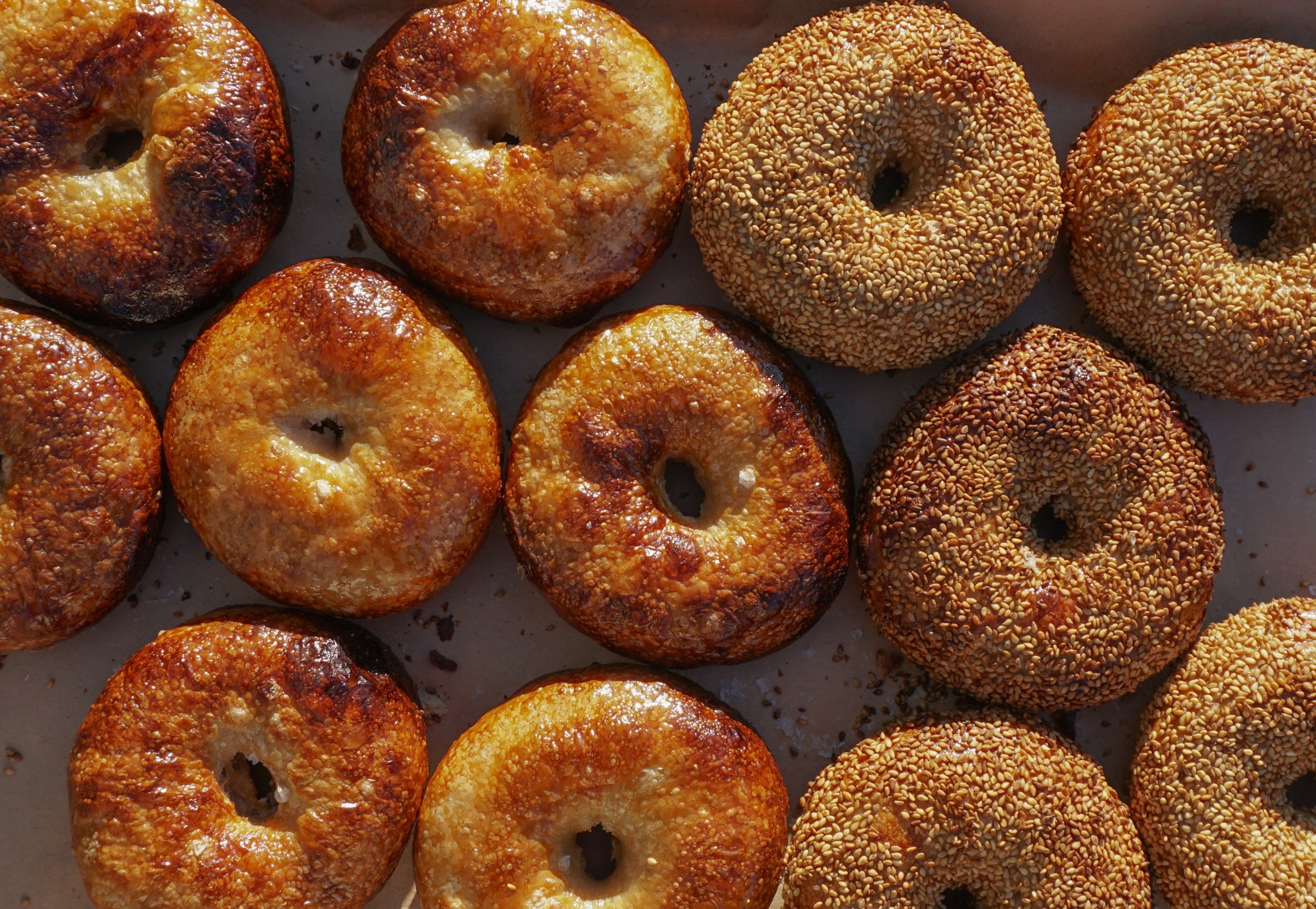 Overhead shot of blistered bagels from Mustard’s on a baking sheet