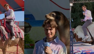 ABC10's Peter Warner explores the California State Fair