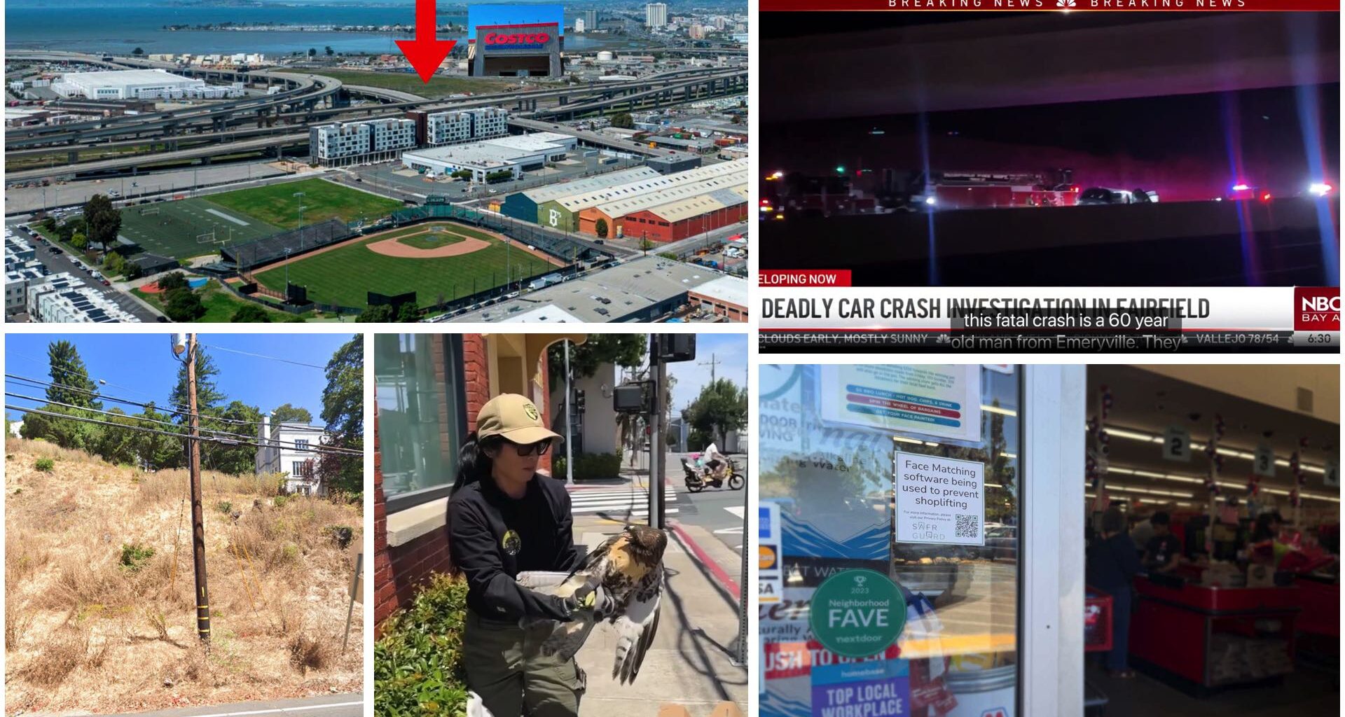 July 1-15, 2026 Emeryville Newswire: Grocery Outlet Privacy Debate, Injured Hawk & I-80 Fatality • The E'ville Eye News
